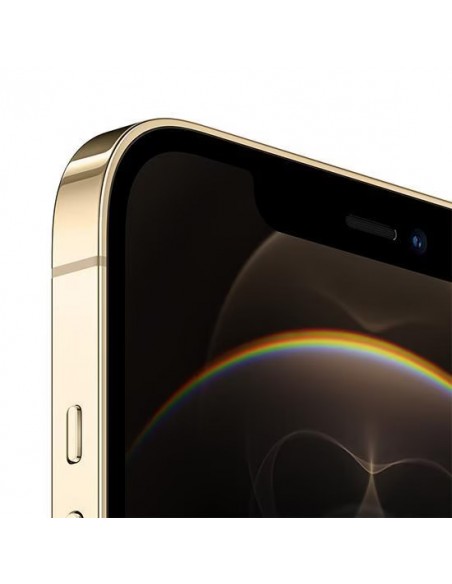 Apple iPhone 12 Pro Max 256 GB Gold (zlatý)
