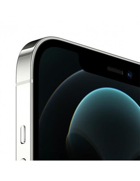 Apple iPhone 12 Pro Max 256 GB Silver (střibrný)